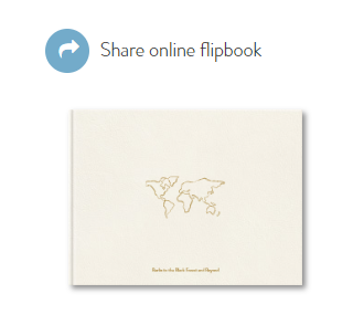 Share Online Flip Book